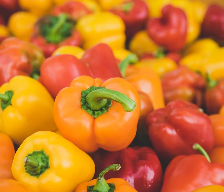 AVI Servicios Alimentarios